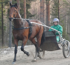 Random Shot 150119-3